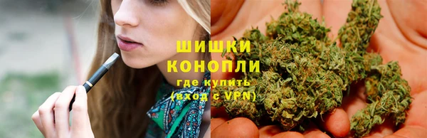 ГАЛЛЮЦИНОГЕННЫЕ ГРИБЫ Иннополис