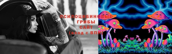 ALPHA PVP Инсар