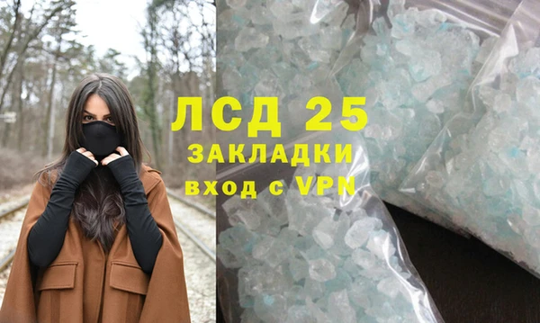 ГАЛЛЮЦИНОГЕННЫЕ ГРИБЫ Иннополис
