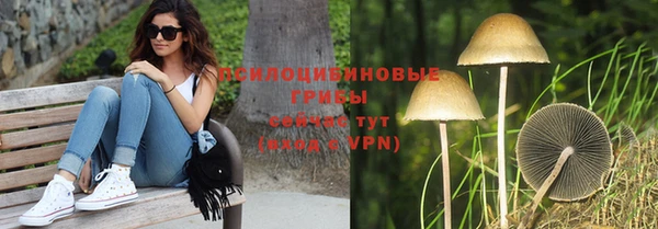 амф Инта