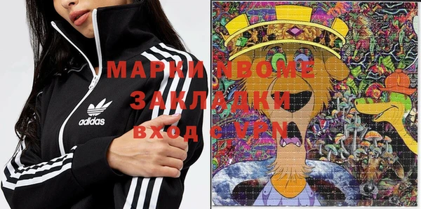 амф Инта