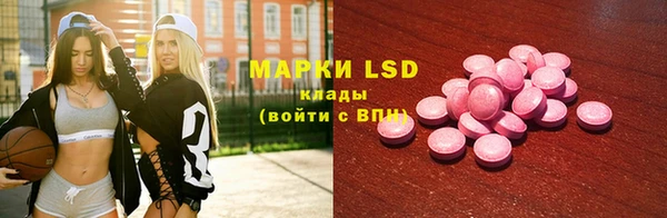 ГАЛЛЮЦИНОГЕННЫЕ ГРИБЫ Иннополис